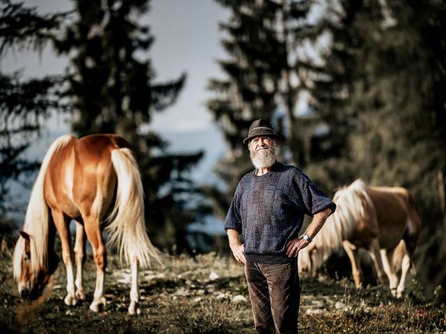 Bauer mit seinen Hengsten beim Hengstalmabtrieb in Tirol