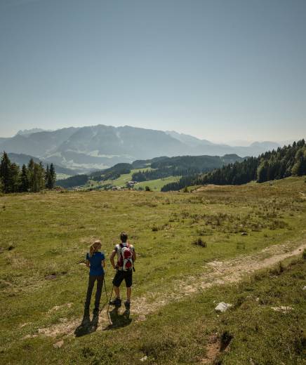 Wanderer auf Wanderweg mit Blick auf die Tiroler Alpen