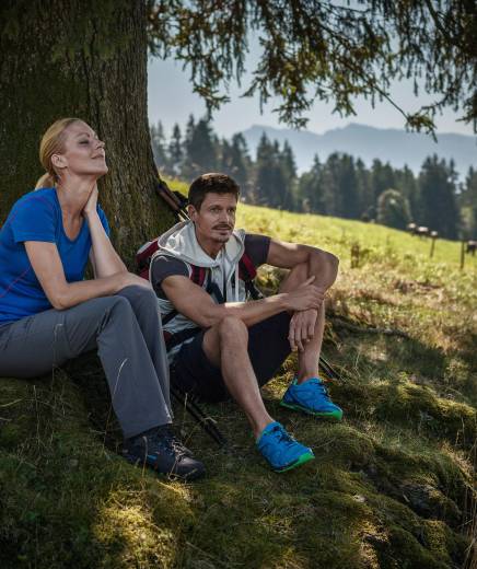 Paar ruht sich vom Wandern unter einer Tanne aus
