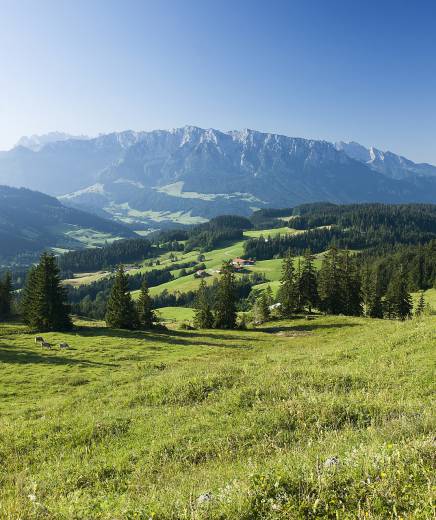 Panoramablick vom Niederndorferberg ins Tal