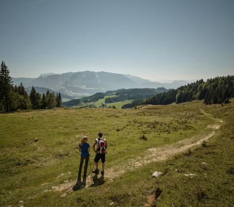 Wanderer auf Wanderweg mit Blick auf die Tiroler Alpen