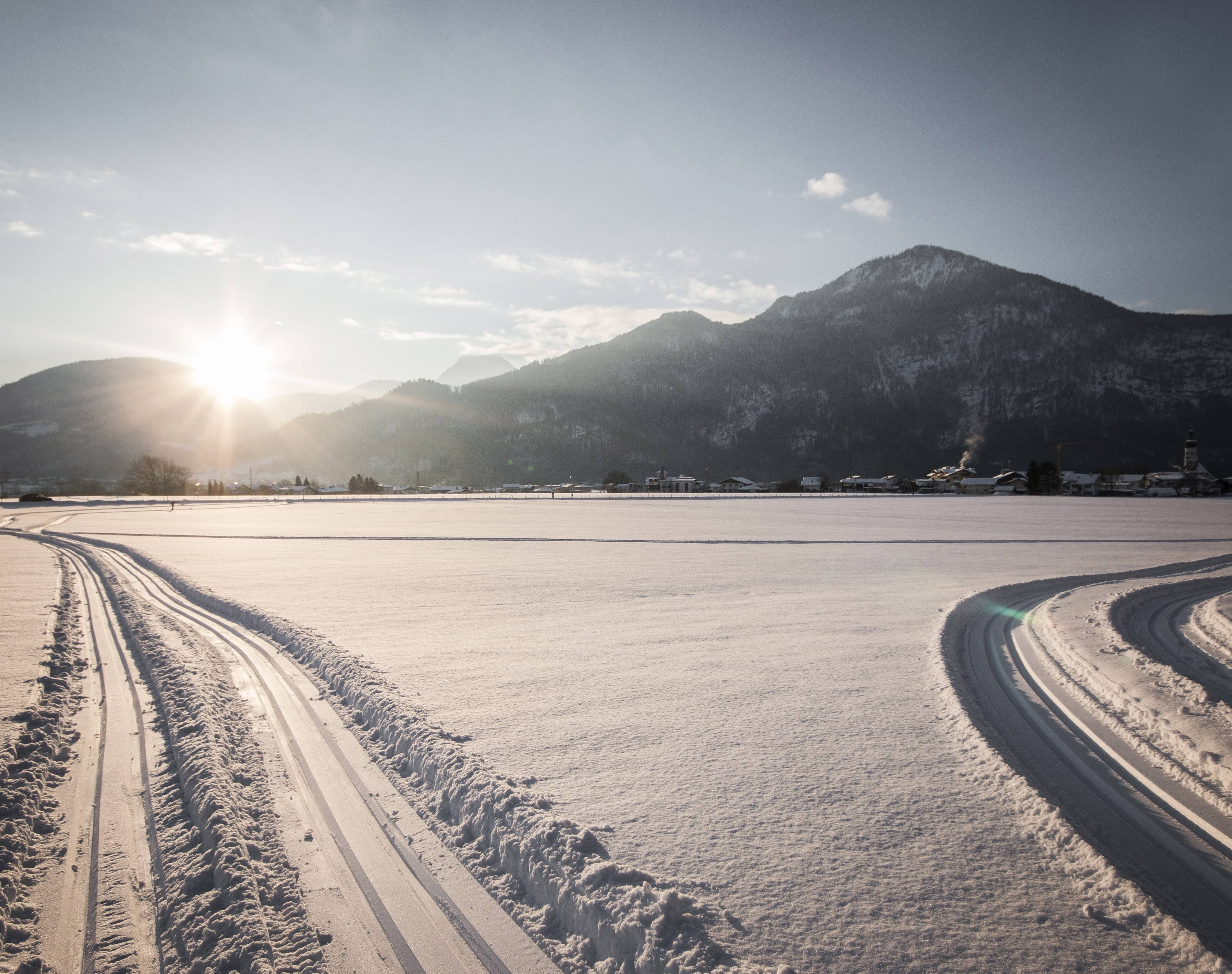 Erl im Winter mit Schneebedeckten Feldern