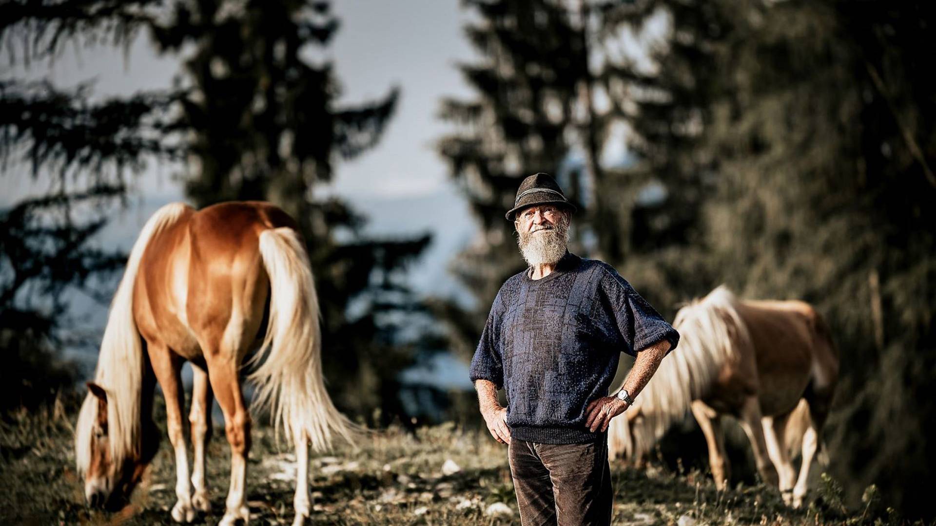Bauer mit seinen Hengsten beim Hengstalmabtrieb in Tirol